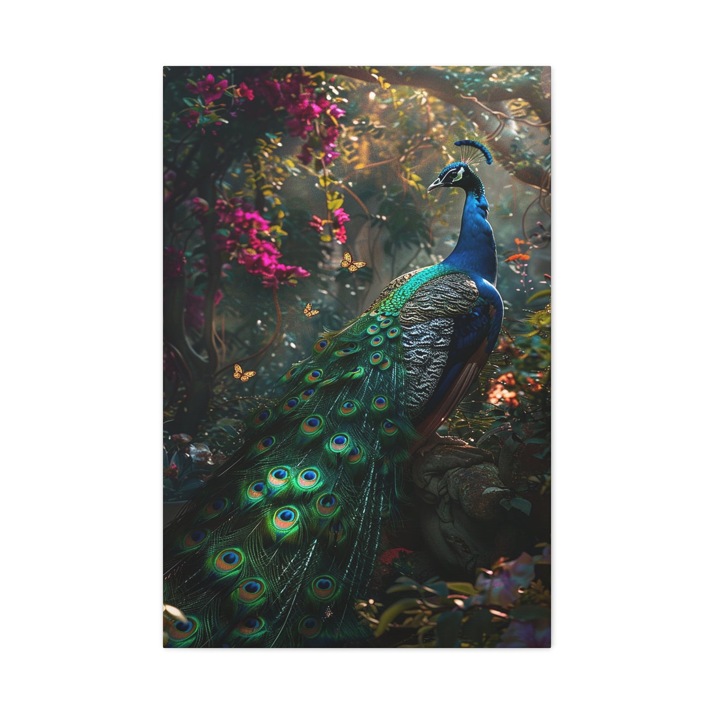 Peacock's Paradise