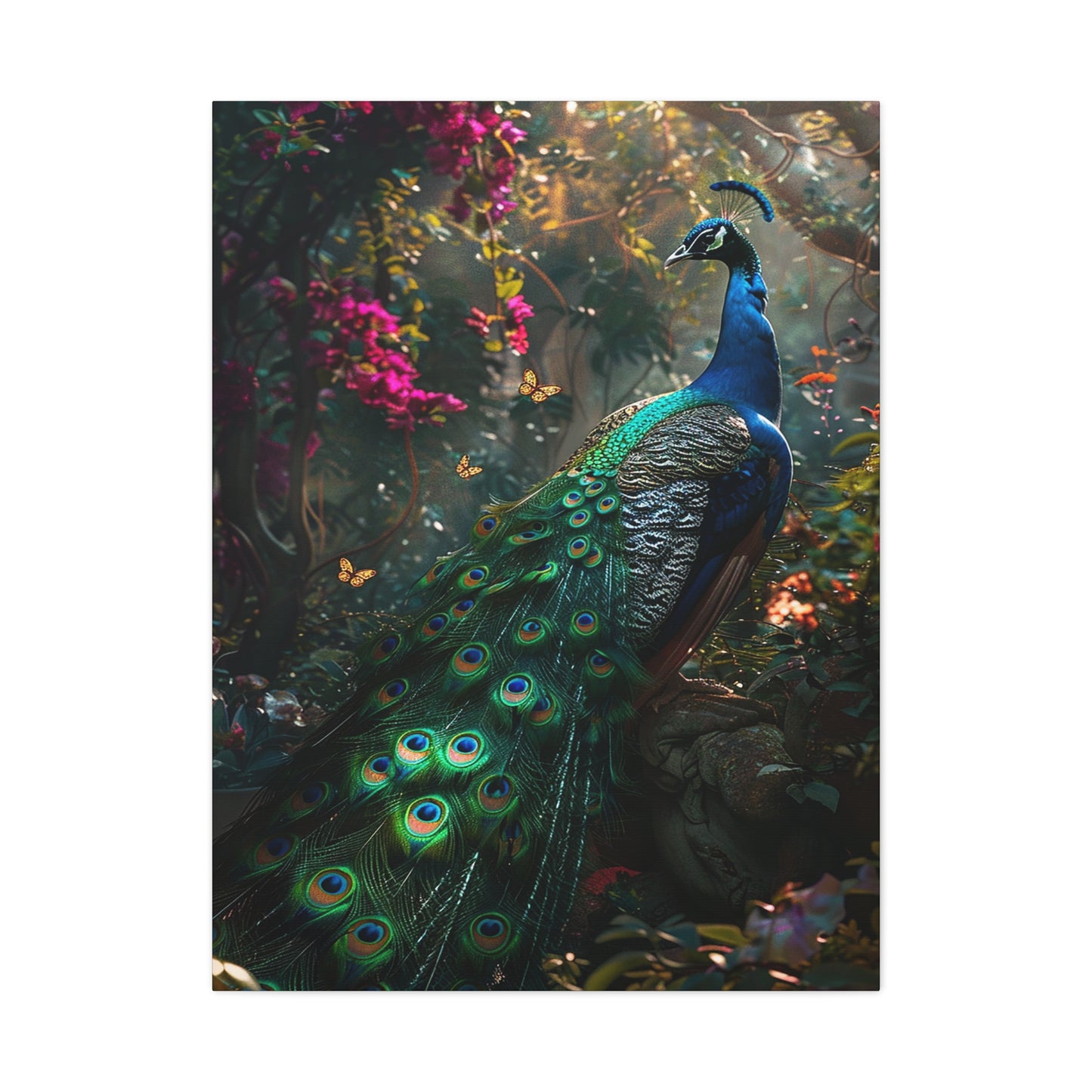 Peacock's Paradise