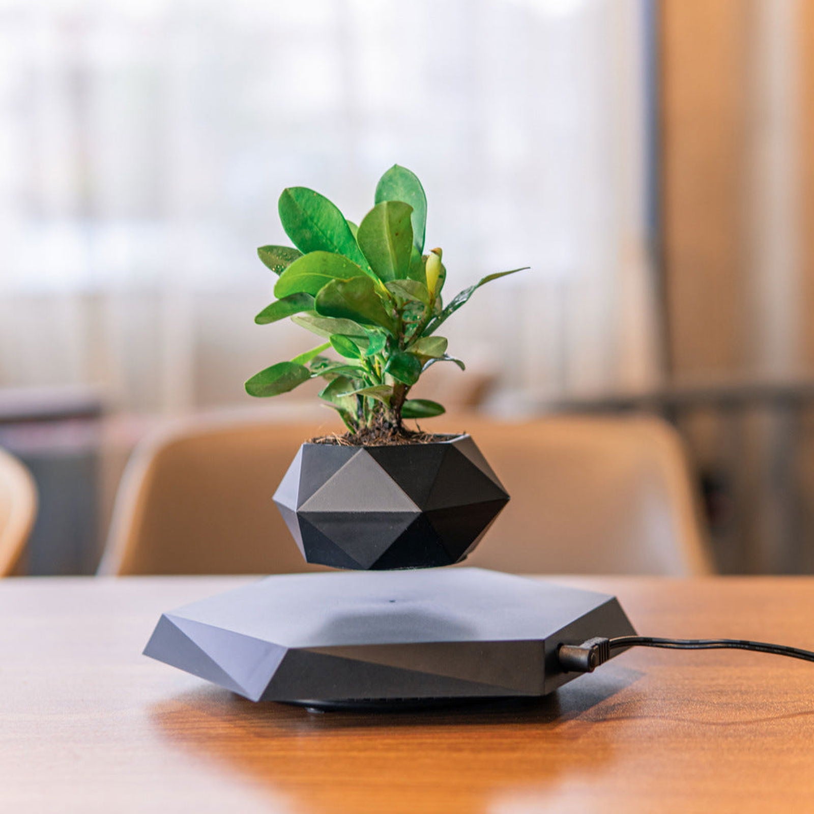 Creative Magnetic Levitating Plant Pot - ExclusiveCreativeDesigns