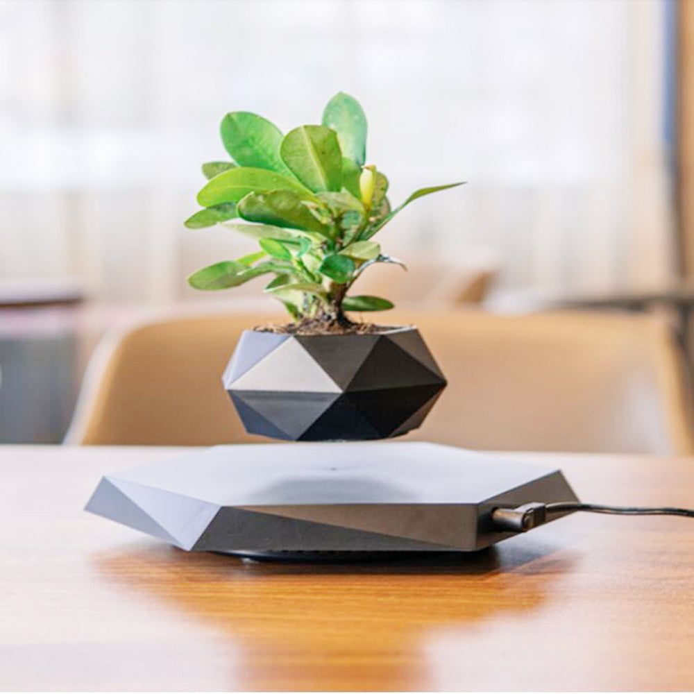 Creative Magnetic Levitating Plant Pot - ExclusiveCreativeDesigns