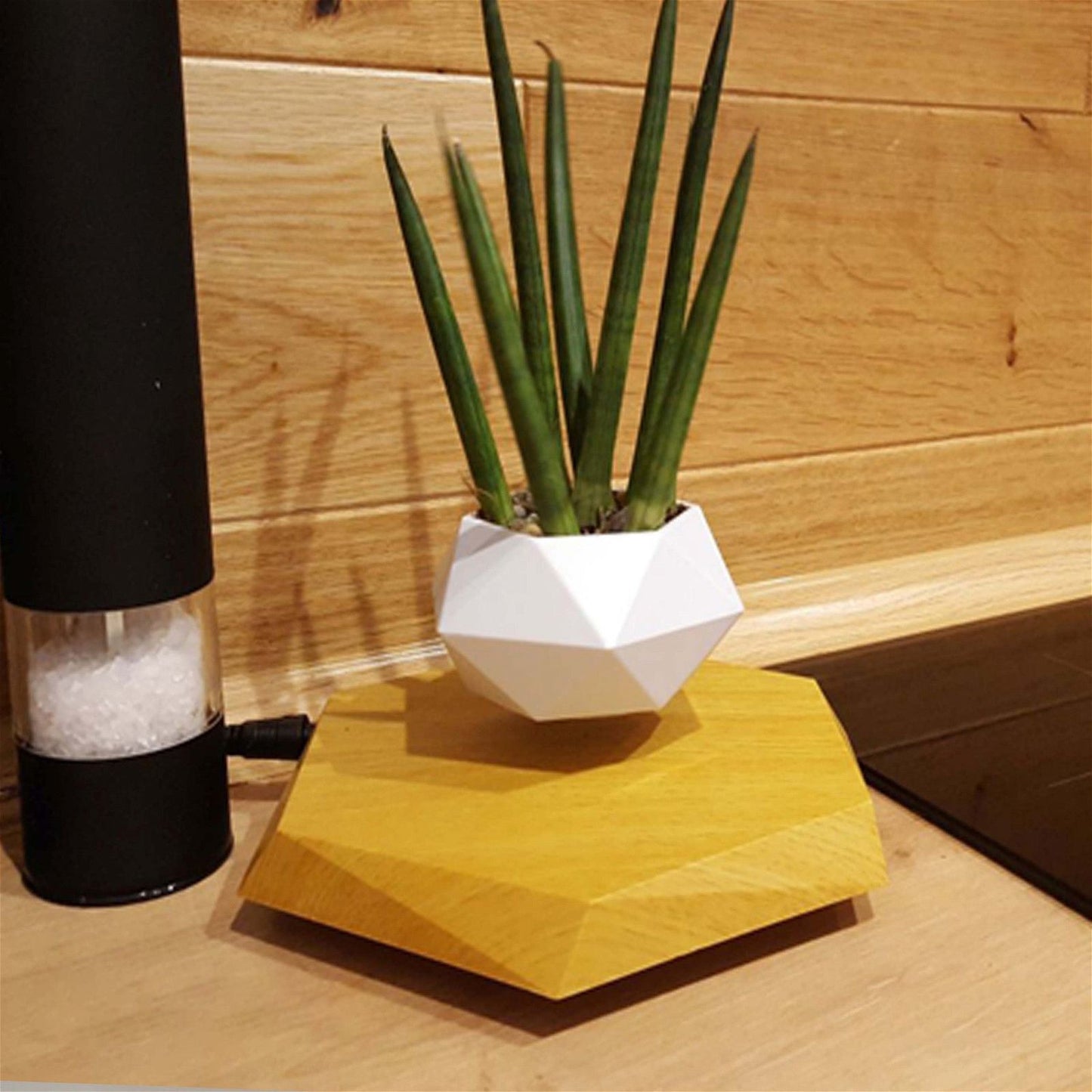 Creative Magnetic Levitating Plant Pot - ExclusiveCreativeDesigns